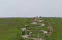 Private Pykara Lake Tour in Ooty with Car