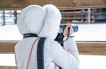 Ranua Wildlife Park Photography Tour