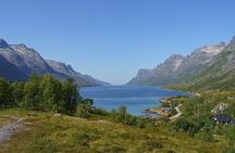Express Fjord Road trip with Wandering Owl