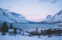 Express Fjord Road trip with Wandering Owl
