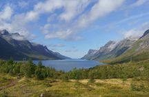 Express Fjord Road trip with Wandering Owl