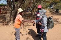  Victoria Falls Village Tour by Minibus