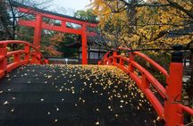 Discover Kyoto by Bike: Authentic Half Day Tour
