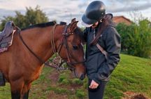 Anthropologist-Led Horseback: Moon Temple & Mysticism (Max 5)