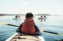 3 Hour Kayaking Tours from Friday Harbor