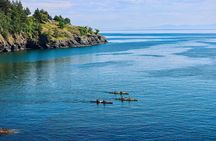3 Hour Kayaking Tours from Friday Harbor