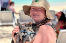 The Ultimate Bahamian Beach Day: Pigs, Jet Ski, Snorkeling & More