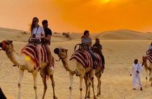 Doha: Inland Sea Desert Safari with Camel Ride & Dune Bashing 