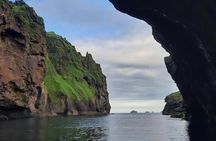Vestmannaeyjar Westman Islands Private Tour