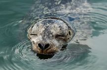 Vancouver City and Nature Waterfront Sightseeing Boat Tour 