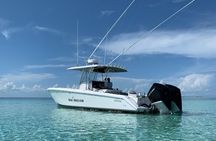 34ft Day Dream Private Charter in Nassau