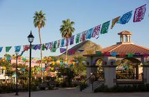 Cabo San Lucas Arch Cruise and Shopping Tour