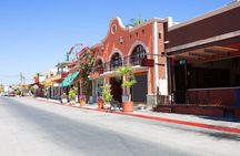 Cabo San Lucas Arch Cruise and Shopping Tour
