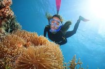 Quicksilver Pontoon and 10 Minute Scenic Helicopter Flight