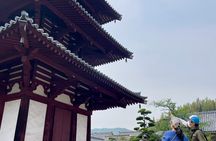 E-Bike Tour through Ikaruga’s Temples and Countryside