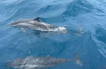 Taiwan Hualien Private Day Tour