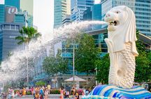 Singapore City Tour and Temples with Garden by the Bay Ticket