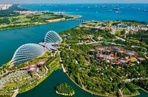 Singapore City Tour and Temples with Garden by the Bay Ticket