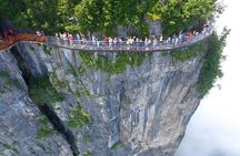 Zhangjiajie to Avatar Mountain and Glass Bridge Private Tour