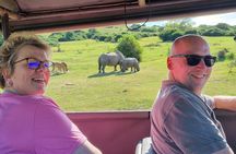 Half-Day Schotia Game Reserve (Open 4x4 Safari Vehicle)