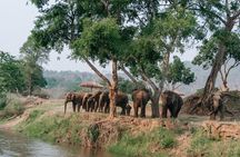Chiang Mai Elephant Sanctuary Waterfall Long Neck Village Tour