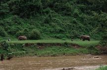 Chiang Mai Elephant Sanctuary Waterfall Long Neck Village Tour