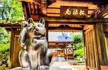 Lucky Cats Temple & Old Tokyo Yanaka 1/2-Day Walking Private Tour