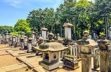 Lucky Cats Temple & Old Tokyo Yanaka 1/2-Day Walking Private Tour