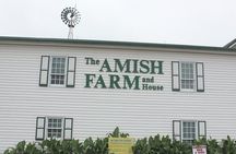 Amish Farm and House Day Tour from Washington D.C.