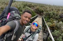 Join a 5-Day Marangu Route Kilimanjaro Group Trek – Guided Tour