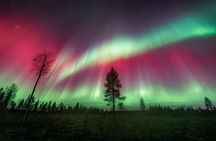 Private Northern Lights Photography Tour in Levi