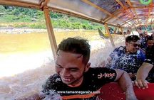 1-Day Jungle Thrill in Taman Negara Tour from KL