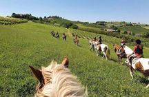 Horse Riding Adventure in Langhe: Piemonte's Scenic Vineyards