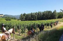 Horse Riding Adventure in Langhe: Piemonte's Scenic Vineyards