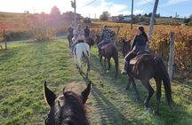 Horse Riding Adventure in Langhe: Piemonte's Scenic Vineyards