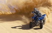 Dubai Morning Safari Adventure, Dune Bashing and Camel Experience