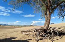 The best of Central Mongolia Guided 3 day Adventure