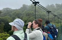 Hanging Bridges & Wildlife: Monteverde Cloud Forest Experience