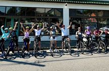Nashville's Neighborhood E-bike Tour 