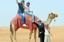 Dubai Evening Desert Safari with Dune Bashing & BBQ Dinner