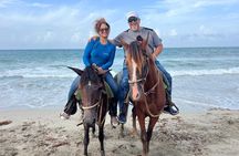 Best tours and excursions in Las Terrenas, Samaná