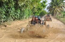 Excursion Saona Island / Full-Day 