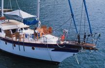 Sail to Tayrona Park with Lunch, Snorkeling and Paddle