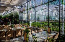 Private Golden Circle, Tomato Farm & Blue Lagoon Transfer