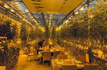 Private Golden Circle & Blue Lagoon Tour with Fridheimar Farm