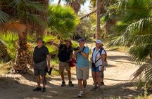 Cabo birding | Bird watching at bird sanctuary