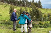 Cusco San Pedro or Wachuma Ceremonie Spiritual Retreat