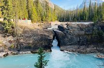 Lake Louise, Moraine/Bow, Emerald & Peyto - 4 Lakes in Banff