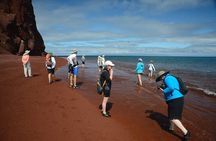5 Days Tour to Explore Santa Cruz ,Isabela and Santa Fe Galapagos