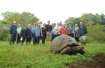 5 Days Tour to Explore Santa Cruz ,Isabela and Santa Fe Galapagos